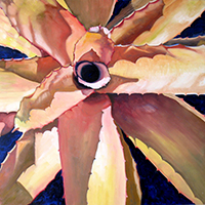 Bromeliad - A Study in Light